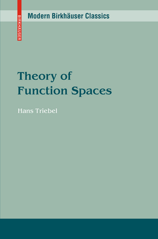 Theory of Function Spaces - Hans Triebel