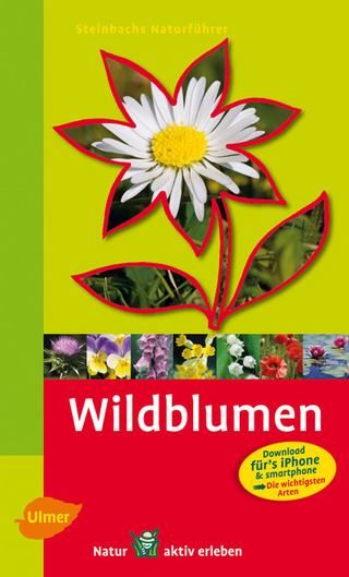 Steinbachs Naturführer Wildblumen - Bruno P. Kremer; Birke Steinbach