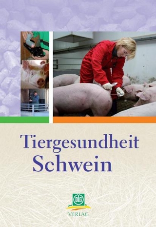 Tiergesundheit Schwein - Blaha; Hoy; Schulte-Wülwer; Stalljohann; Brede; Sieverding