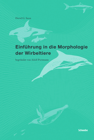 Einführung in die Morphologie der Wirbeltiere - David G. Senn