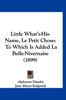Little What's-His-Name, Le Petit Chose - Alphonse Daudet