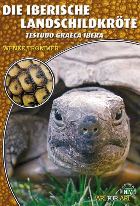 Die Iberische Landschildkröte - Wenke Trommer