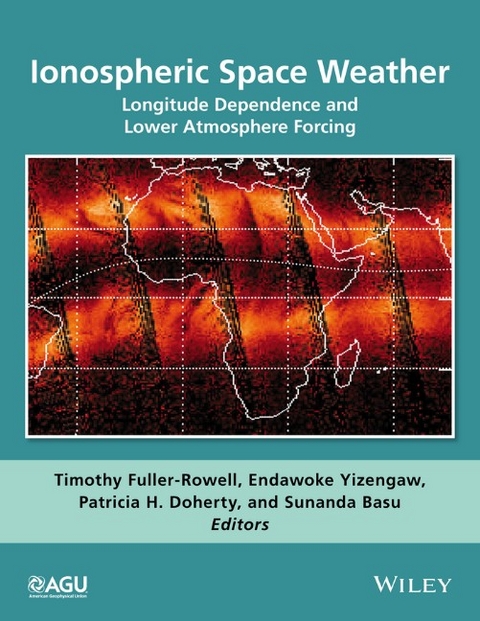 Ionospheric Space Weather - 