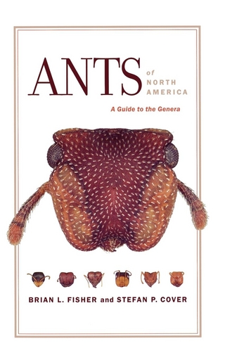 Ants of North America - Brian L. Fisher; Stefan P. Cover