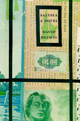 Saltsea - David Helwig