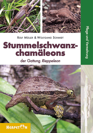 Stummelschwanzchamäleons - Rolf Müller; Wolfgang Schmidt