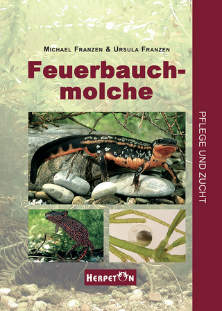 Feuerbauchmolche - Michael Franzen; Ursula Franzen