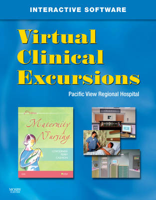 Virtual Clinical Excursions 3.0 for Maternity Nursing - Deitra Leonard Lowdermilk