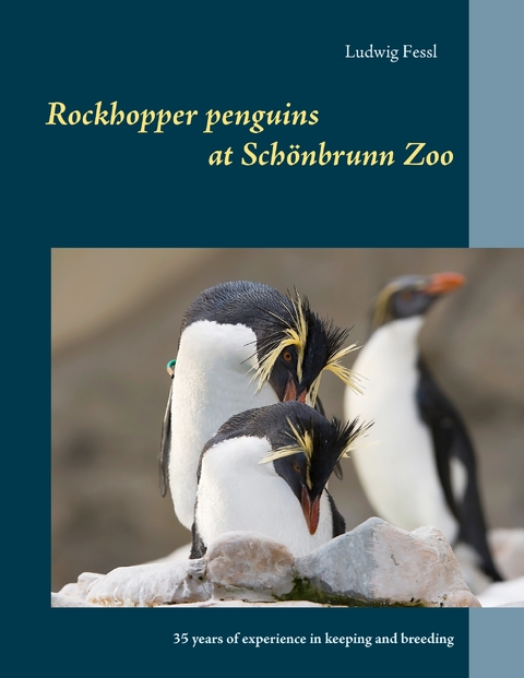 Rockhopper penguins at Schönbrunn Zoo - Ludwig Fessl