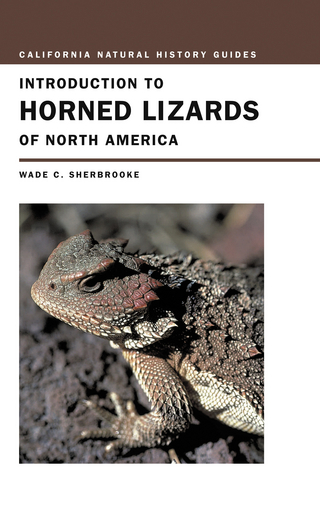 Introduction to Horned Lizards of North America - Wade C. Sherbrooke
