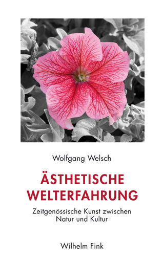 Ästhetische Welterfahrung - Wolfgang Welsch