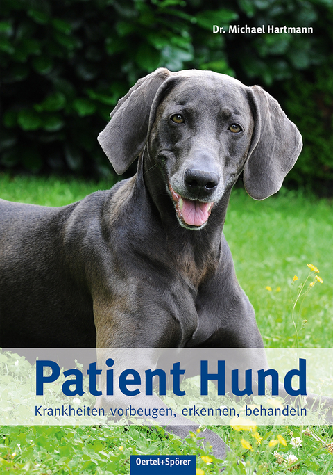 Patient Hund - Michael Hartmann