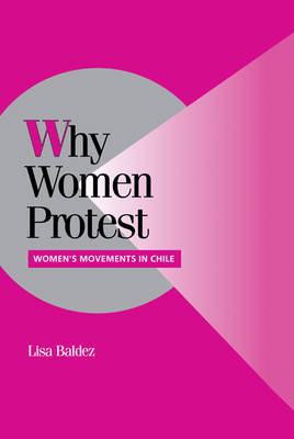 Why Women Protest - Lisa Baldez