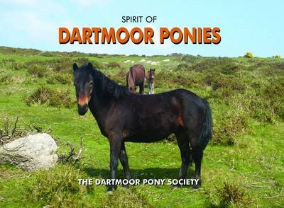 Spirit of Dartmoor Ponies -  Dartmoor Pony Society