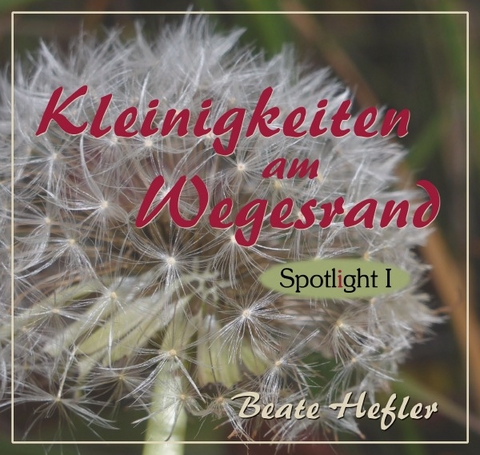 Spotlight / Kleinigkeiten am Wegesrand - Beate Hefler
