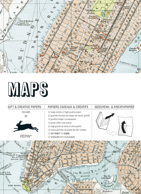 Maps: Gift and Creative Paper Book - Pepin Van Roojen