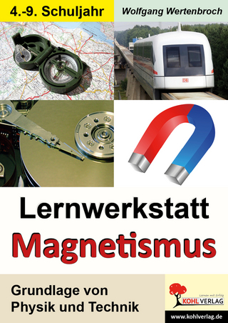 Lernwerkstatt Magnetismus - Wolfgang Wertenbroch