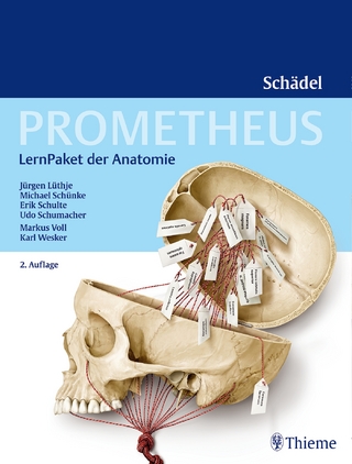 PROMETHEUS LernPaket Anatomie Schädel - Jürgen Lüthje; Erik Schulte; Udo Schumacher …