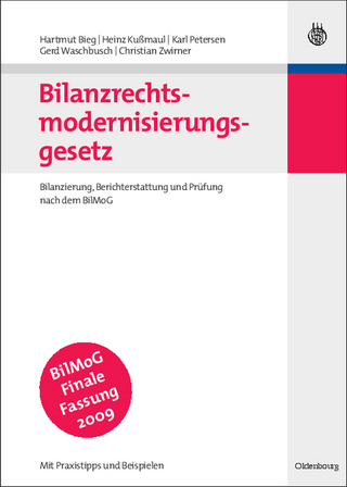 Bilanzrechtsmodernisierungsgesetz - Hartmut Bieg; Heinz Kußmaul; Karl Petersen; Gerd Waschbusch; Christian Zwirner
