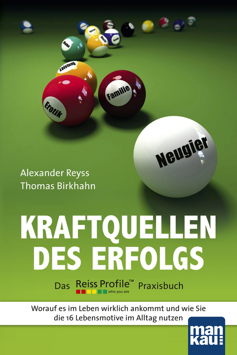 Kraftquellen des Erfolgs - Das Reiss Profile Praxisbuch - Alexander Reyss, Thomas Birkhahn