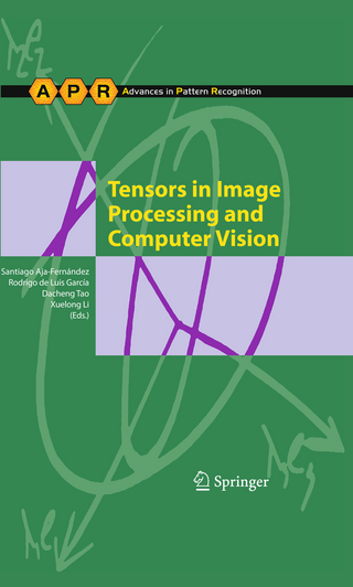 Tensors in Image Processing and Computer Vision - Santiago Aja-Fernández; Rodrigo de Luis Garcia; Dacheng Tao; Xuelong Li