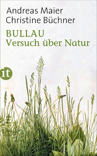 Bullau - Andreas Maier; Christine Büchner