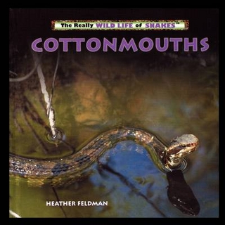 Cottonmouths - Heather Feldman