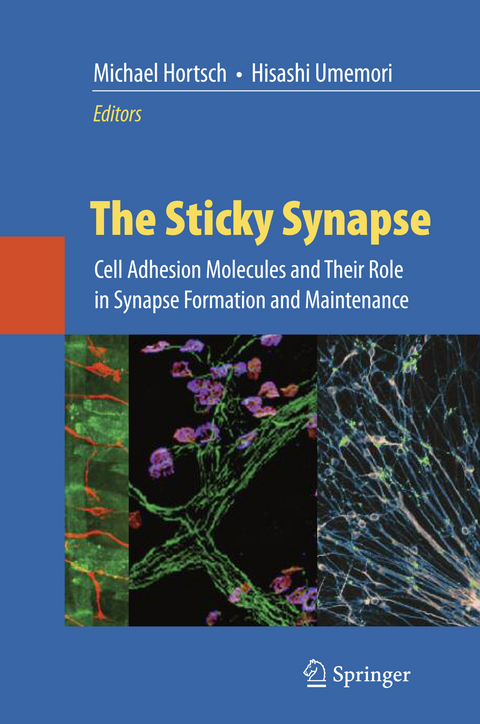The Sticky Synapse - 
