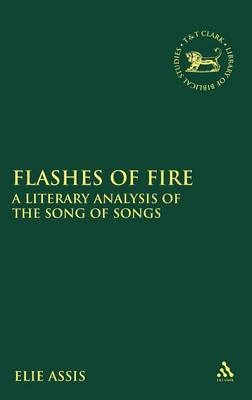 Flashes of Fire - Assis Elie Assis