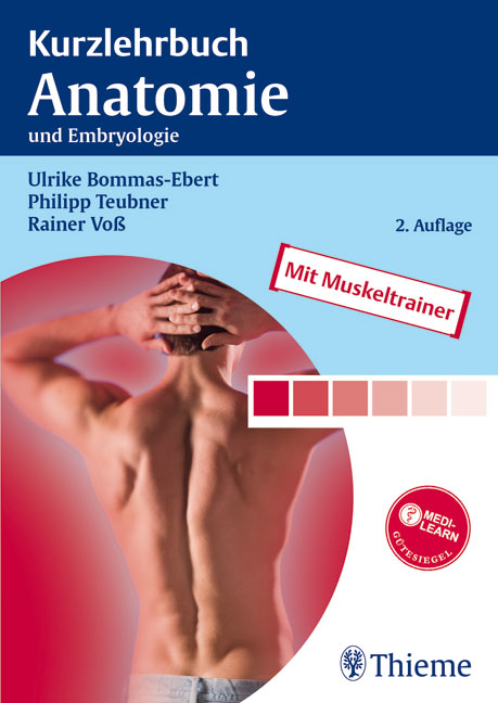 Kurzlehrbuch Anatomie - Ulrike Bommas-Ebert, Philipp Teubner, Rainer Voß