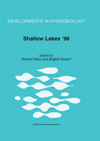 Shallow Lakes '98 - Norbert Walz; Brigitte Nixdorf