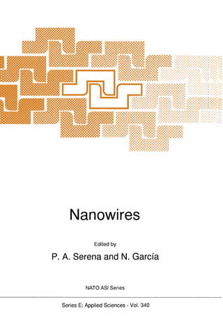 Nanowires - P.A. Serena; N. Garcia