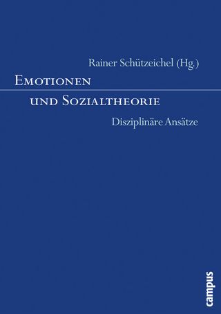 Emotionen und Sozialtheorie - Rainer Schützeichel