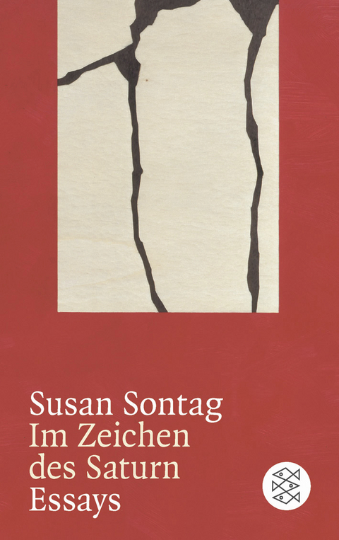 Im Zeichen des Saturn - Susan Sontag
