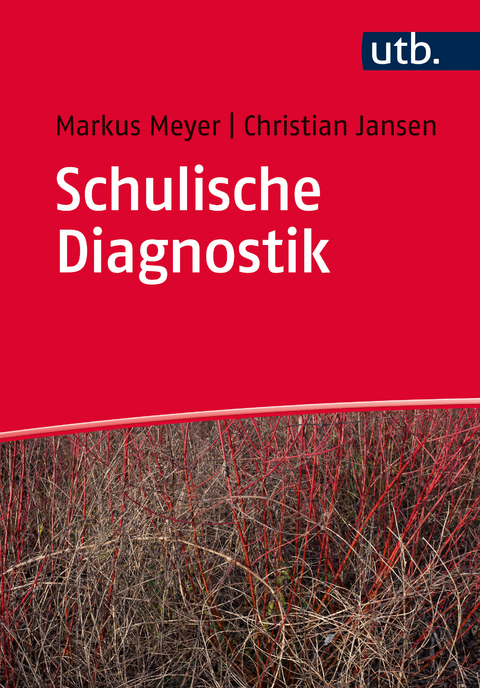 Schulische Diagnostik - Markus Richard Meyer, Christian Jansen