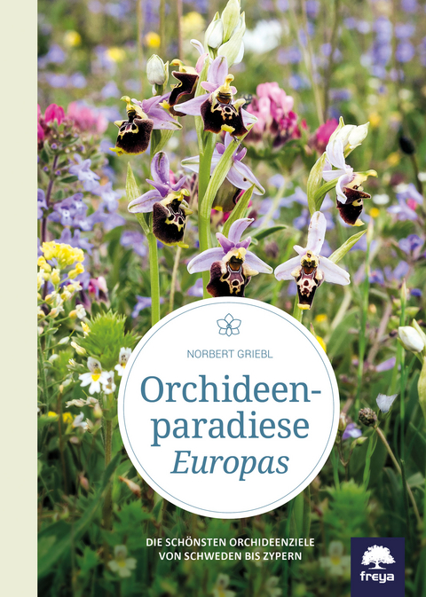 Orchideenparadiese Europas - Norbert Griebl