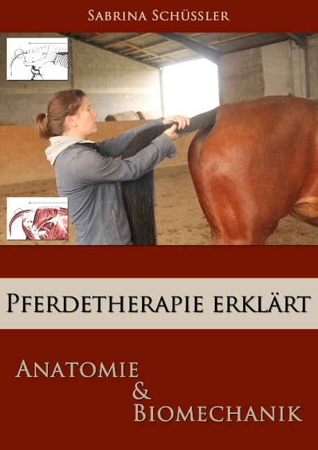 Pferdetherapie erklärt - Sabrina Schüßler