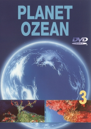 Planet Ozean. Schuber / Vulkane auf dem Meeresgrund & Schätze im Meer
