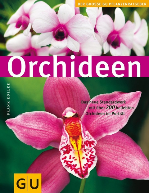 Orchideen - Frank Röllke