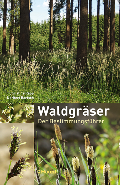 Waldgräser - Christine Rapp, Norbert Bartsch
