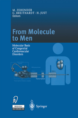 From Molecule to Men - M. Zehender; G. Breithardt; H. Just