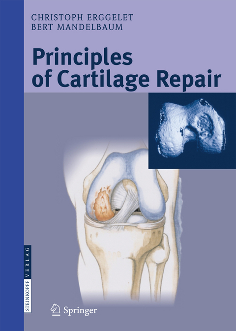 Principles of Cartilage Repair - Christoph Erggelet, Bert R. Mandelbaum