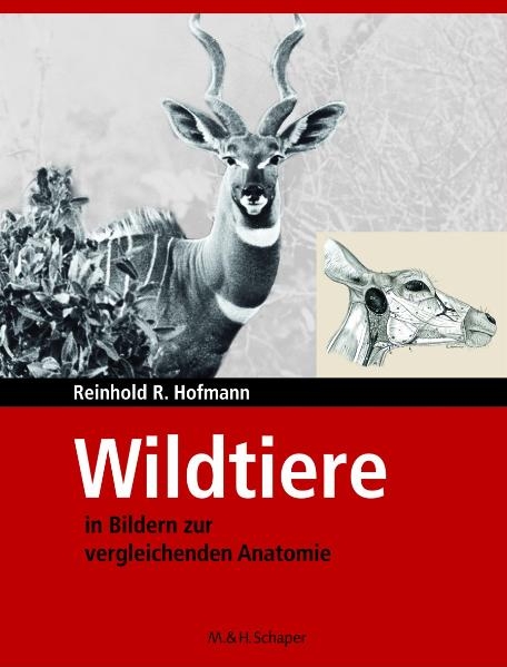 Wildtiere in Bildern zur Vergleichenden Anatome - Reinhold R Hofmann