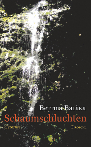 Schaumschluchten - Bettina Balàka