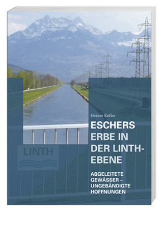 Eschers Erbe in der Linth-Ebene - Heiner Keller