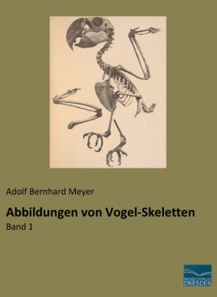 Abbildungen von Vogel-Skeletten - Adolf Bernhard Meyer