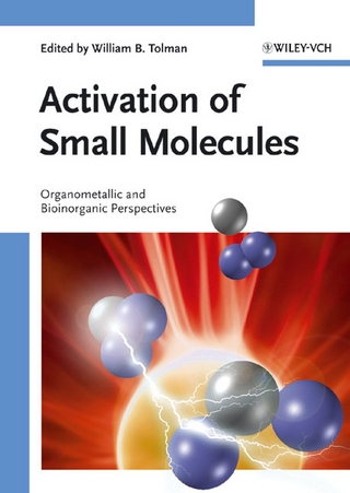 Activation of Small Molecules - William B. Tolman