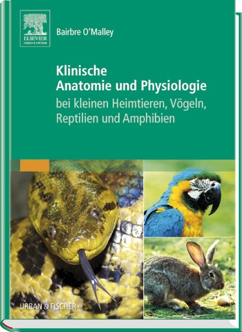 Klinische Anatomie und Physiologie bei kleinen Heimtieren, Vögeln, Reptilien und Amphibien - Bairbre O'Malley