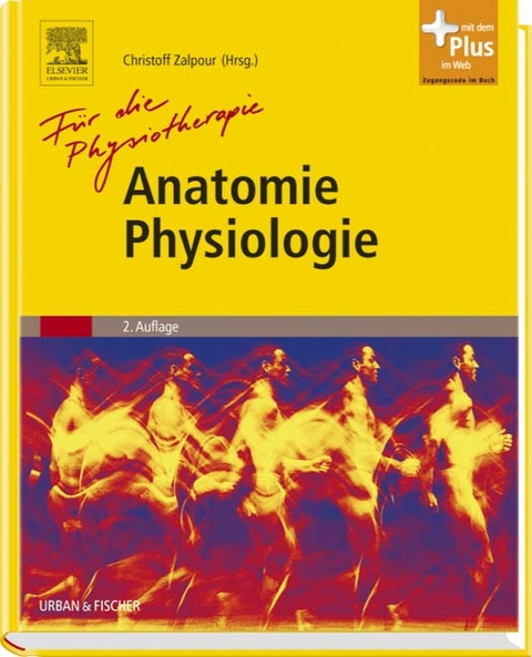 Anatomie Physiologie für die Physiotherapie - 
