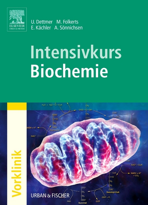 Intensivkurs Biochemie - Ulf Dettmer, Malte Folkerts, Andreas Sönnichsen